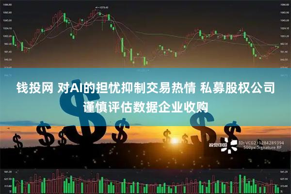 钱投网 对AI的担忧抑制交易热情 私募股权公司谨慎评估数据企业收购